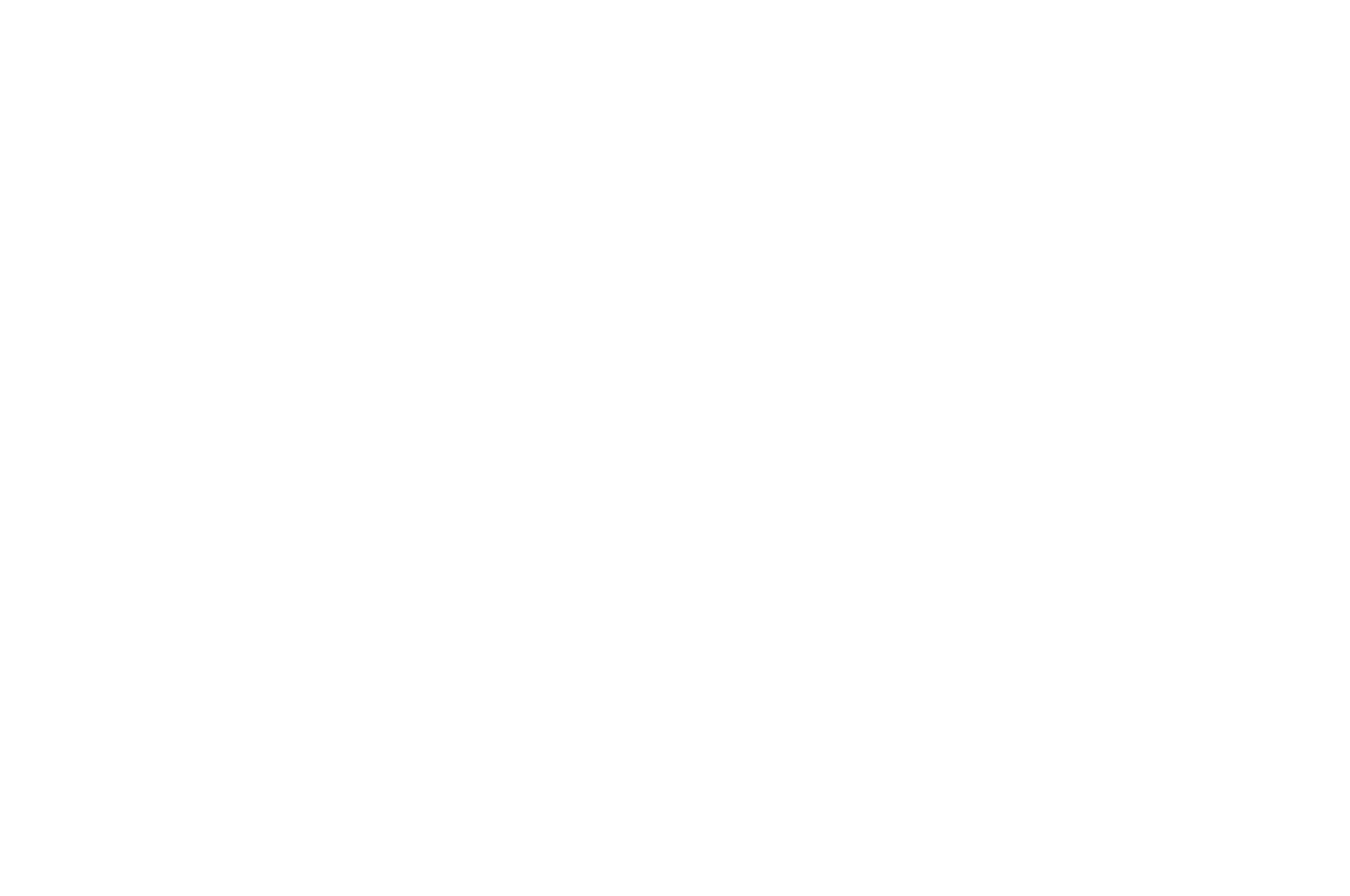 Chico Independent Film Festival — Best Virtual Reality 2019
