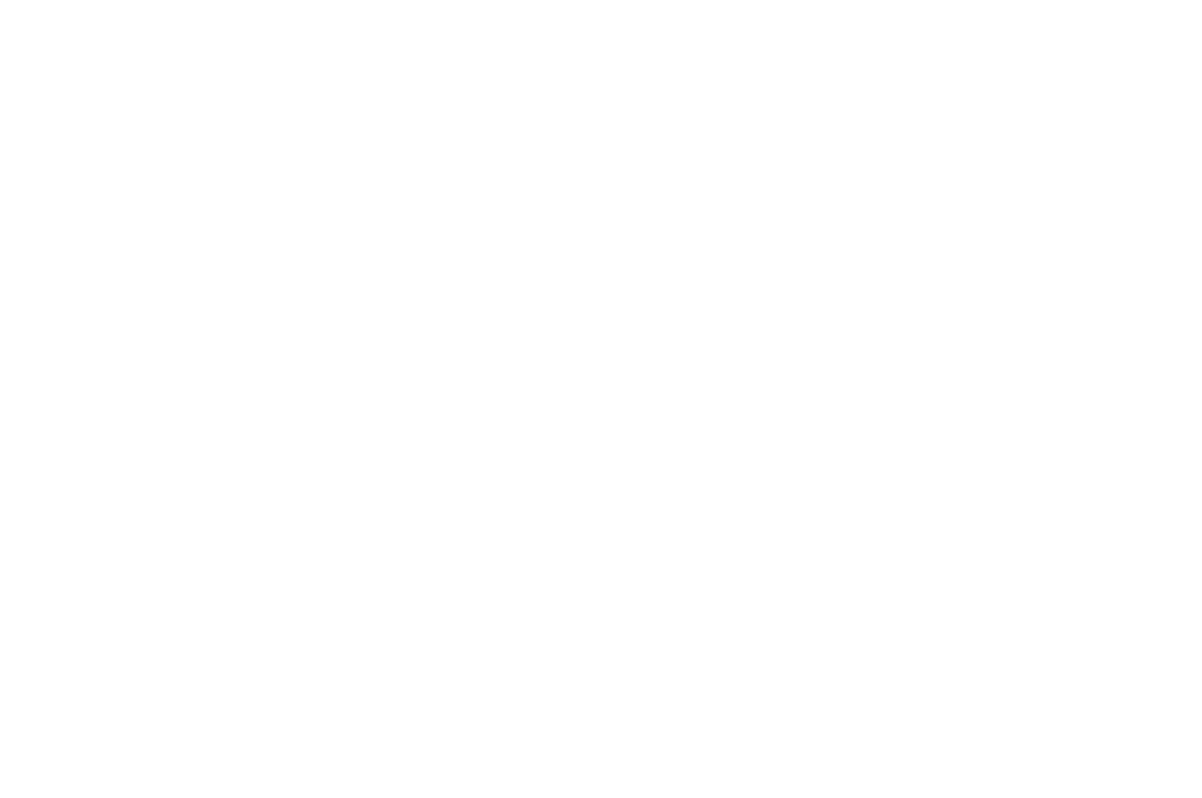 Nikola Tesla Film Festival — Winner 2026