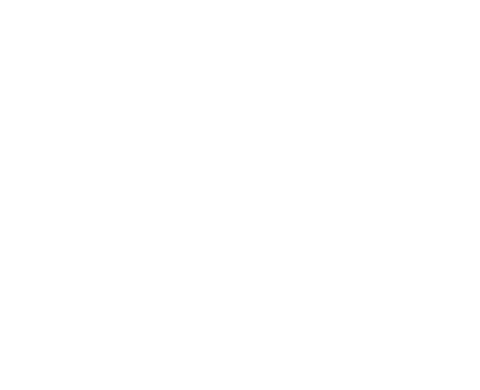Belize International Film Festival — Official Selection 2016