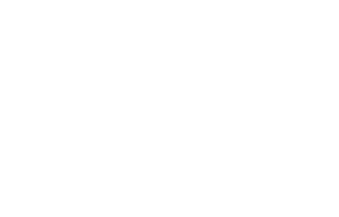 Festival de Cine de Bogotá — Official Selection 2016