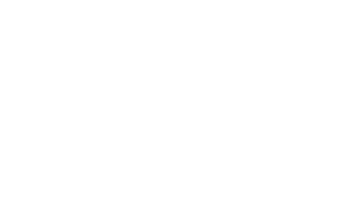 Dream Catchers Film Festival — Official Selection 2025