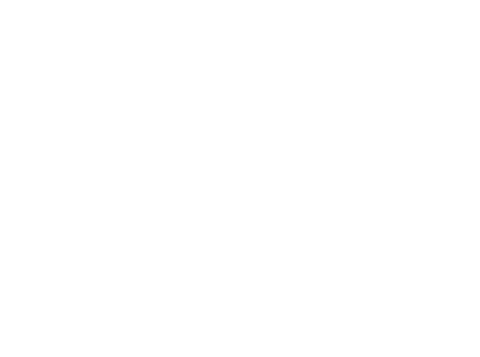 Dunedin International Film Festival — Official Selection 2019