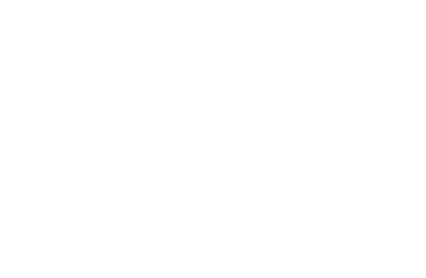 Die Erste Vertikale — Official Selection 2018