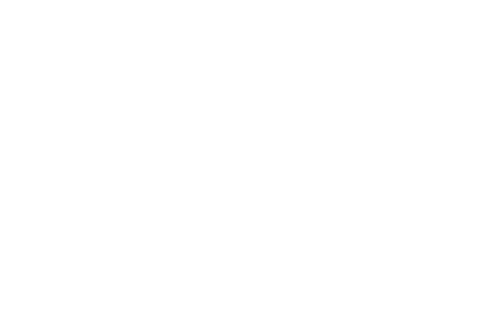 FlickFair Film Festival — Official Selection