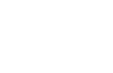 iPhone Film Festival — Official Selection 2019