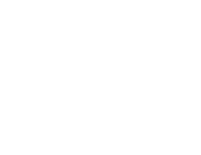Miami Short Film Festival — Official Selection 2020