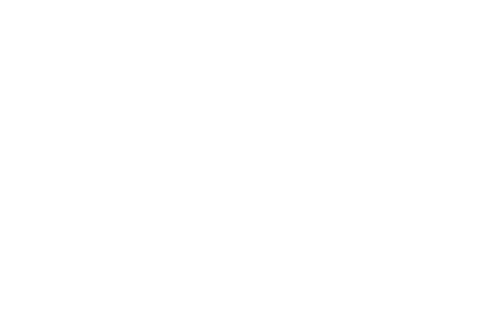 MoziMotion — Official Selection 2019