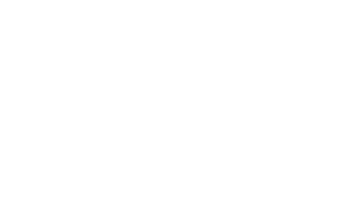 Ocean Coast Film Festival — Official Selection 2019