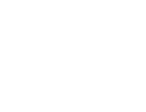 El Ojo Cojo Festival de Cine — Official Selection 2016