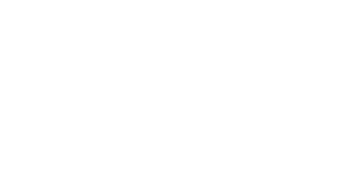 Short Shot Fest · Moscow — Official Selection 2025