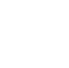Still Voices Short Film Festival — Official Selection 2017