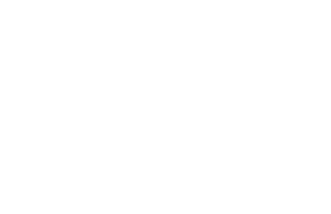 Tiburon International Film Festival — Official Selection 2021