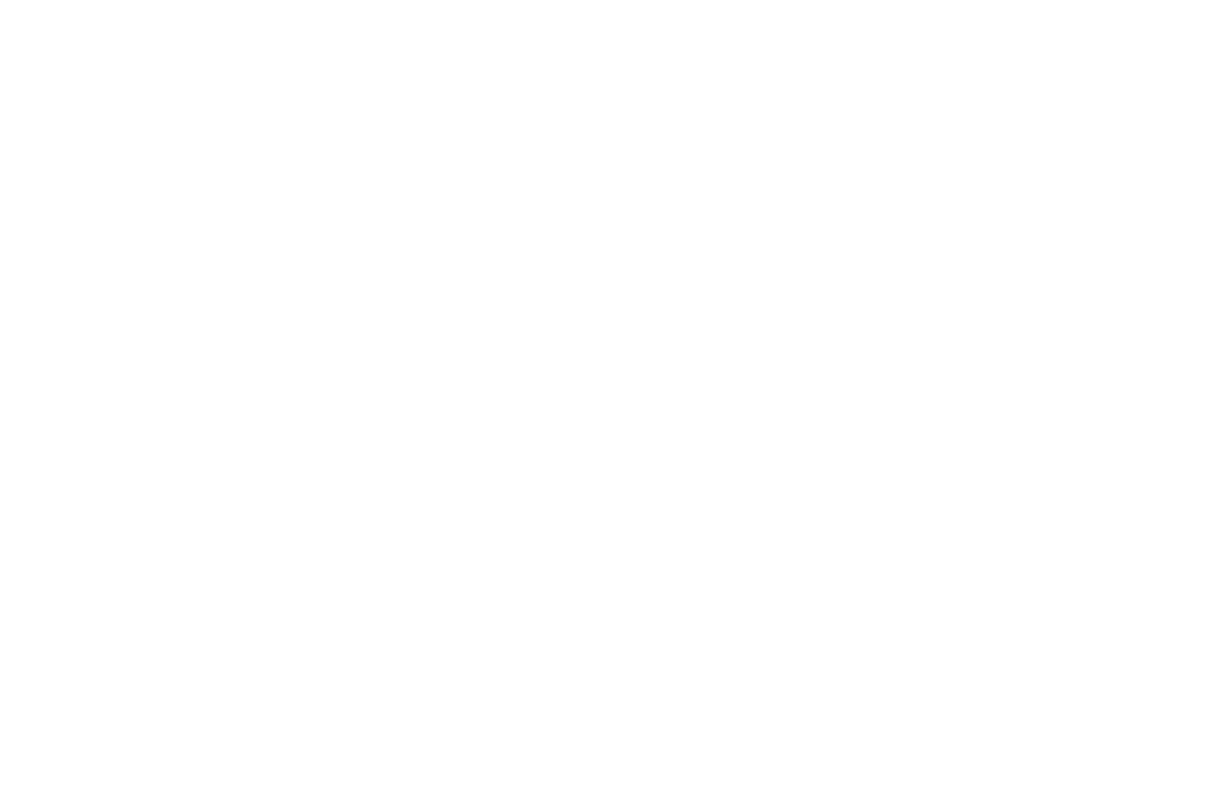 Tachira Film Festival — Best Director 2016